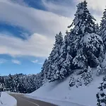 άγρια λούλουδα ευτυχία Timfristos