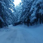 άγρια λούλουδα ευτυχία *