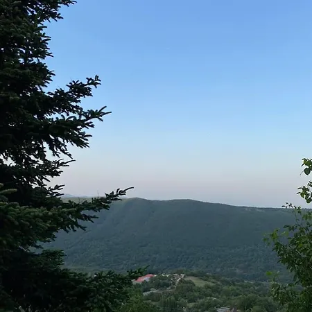 άγρια λούλουδα ευτυχία