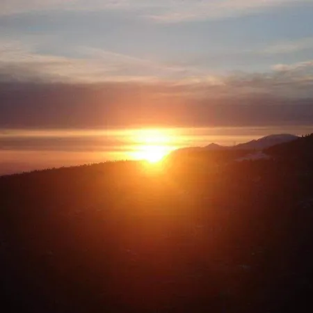 άγρια λούλουδα ευτυχία Timfristos