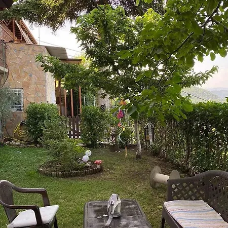 άγρια λούλουδα ευτυχία Appartement
