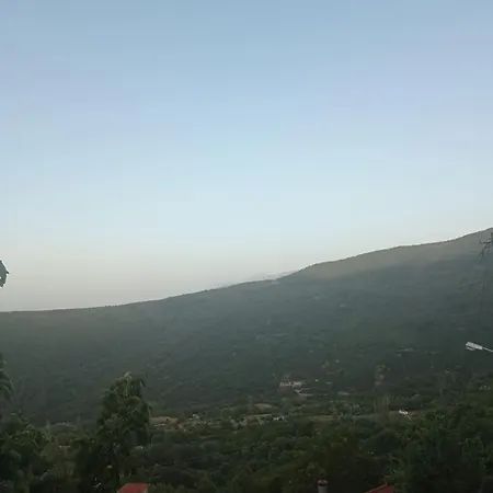 άγρια λούλουδα ευτυχία * Timfristos