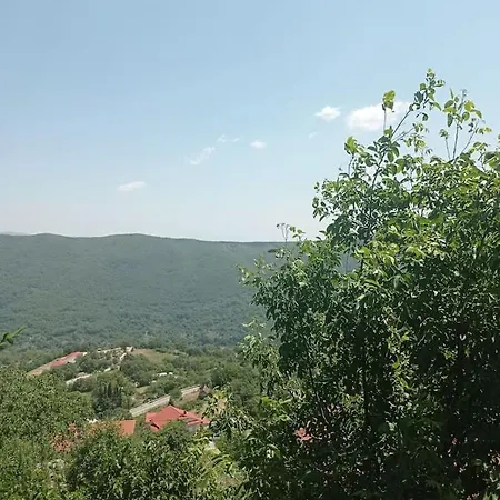 άγρια λούλουδα ευτυχία Timfristos