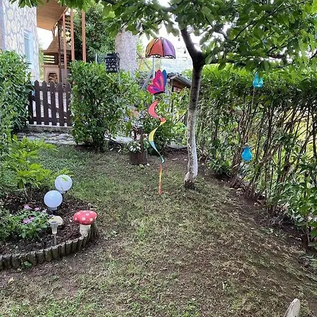 άγρια λούλουδα ευτυχία Timfristos