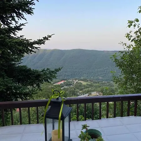 άγρια λούλουδα ευτυχία Appartement *
