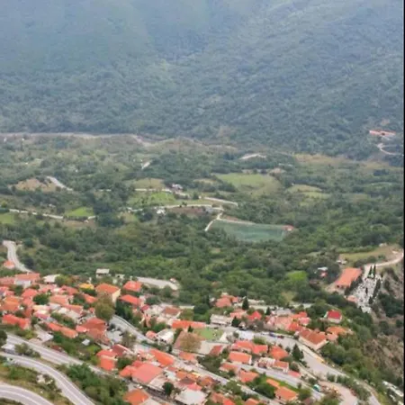 άγρια λούλουδα ευτυχία