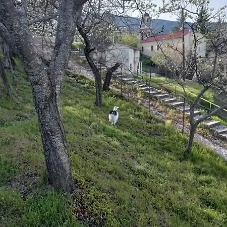 公寓 άγρια λούλουδα ευτυχία