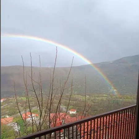 άγρια λούλουδα ευτυχία * Timfristos