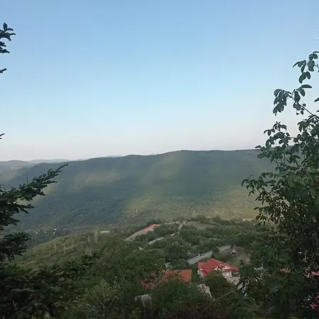 Apartment άγρια λούλουδα ευτυχία Timfristos
