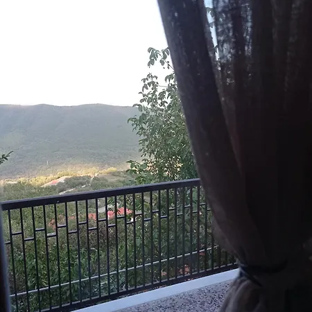 άγρια λούλουδα ευτυχία *