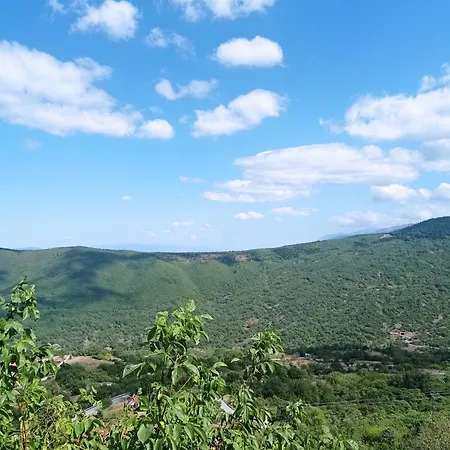 άγρια λούλουδα ευτυχία Timfristos