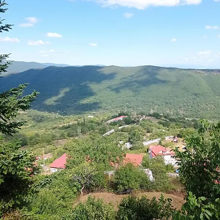 άγρια λούλουδα ευτυχία *