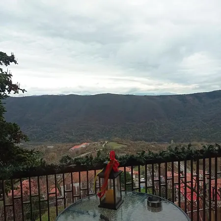 άγρια λούλουδα ευτυχία 公寓