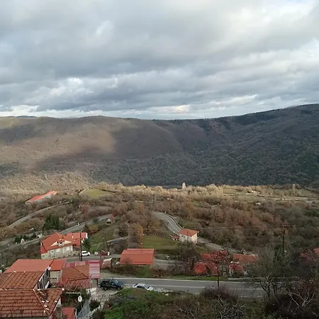 άγρια λούλουδα ευτυχία 公寓 Timfristos