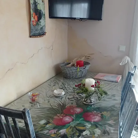 άγρια λούλουδα ευτυχία Apartment Timfristos