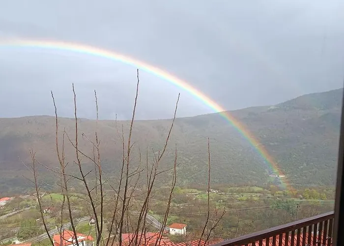 Apartment άγρια λούλουδα ευτυχία *